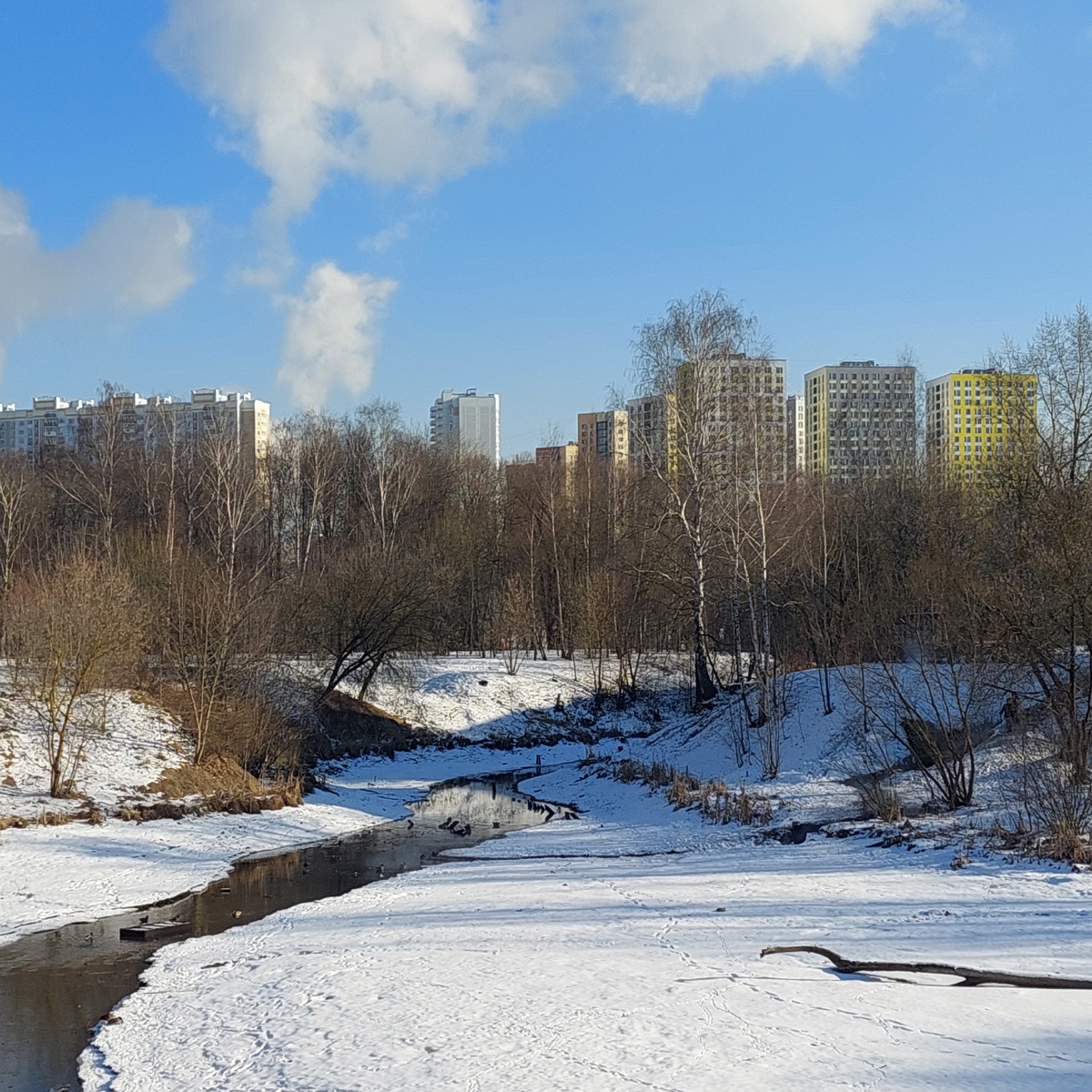 Фото автора.