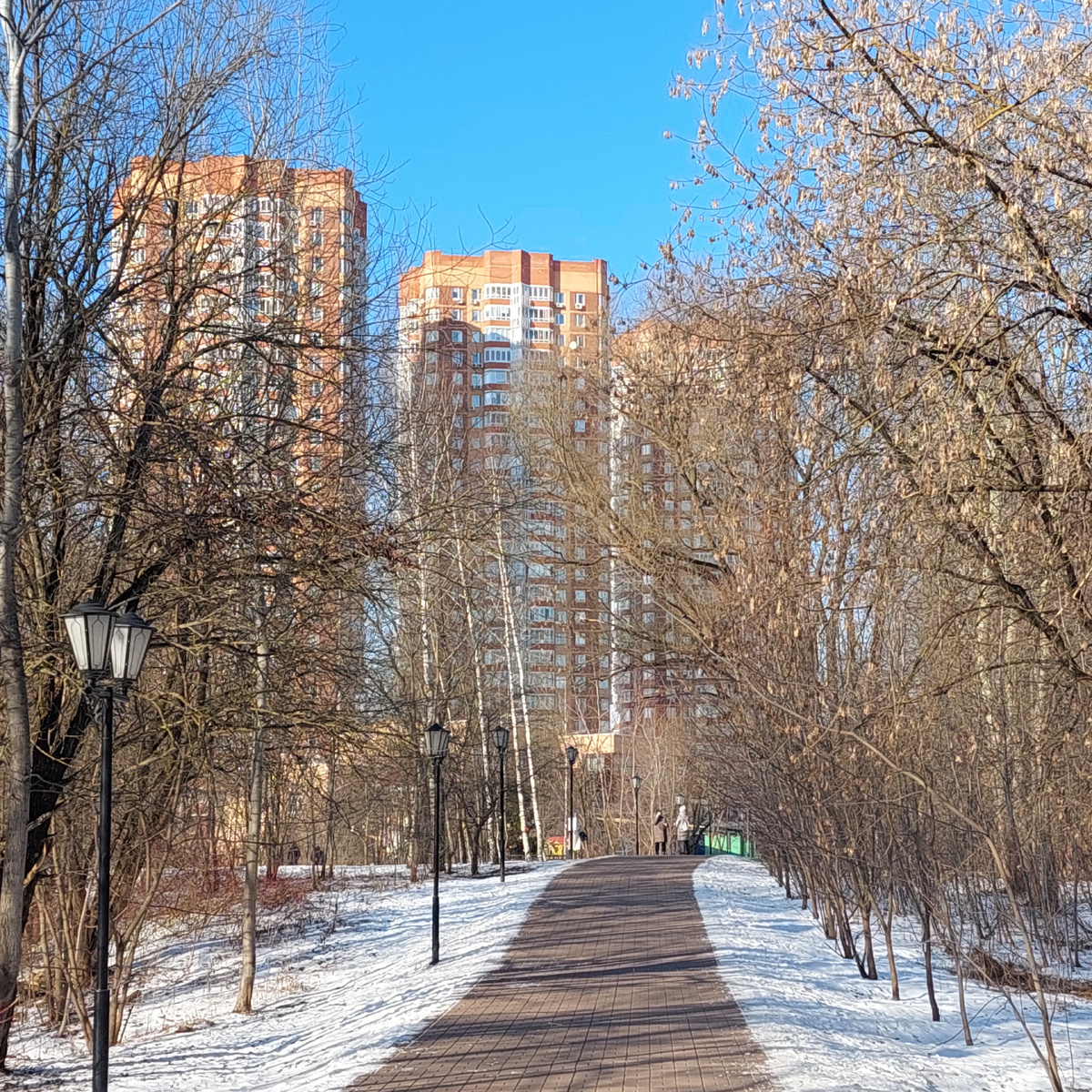 Фото автора.