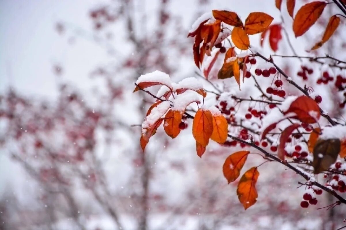    В Туле 24 февраля ожидается ясная погода и до -3℃