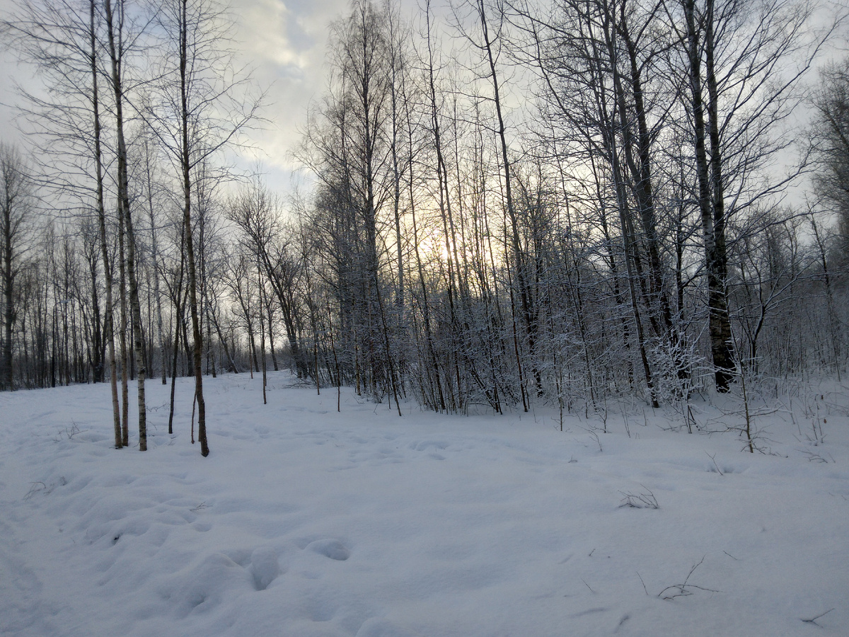 Фото автора Ирины Одарчук Паули 
