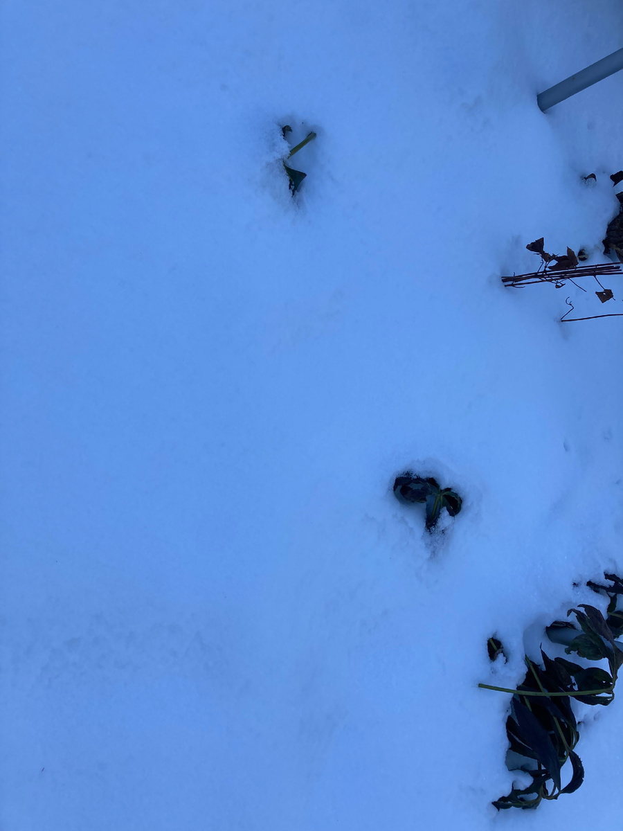 Фото автора 23.02.2025