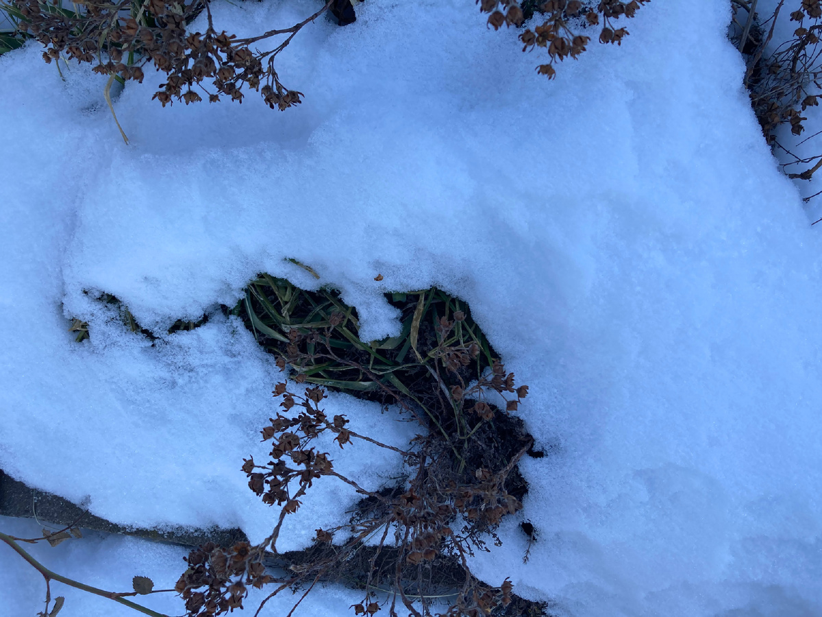 Фото автора 23.02.2025