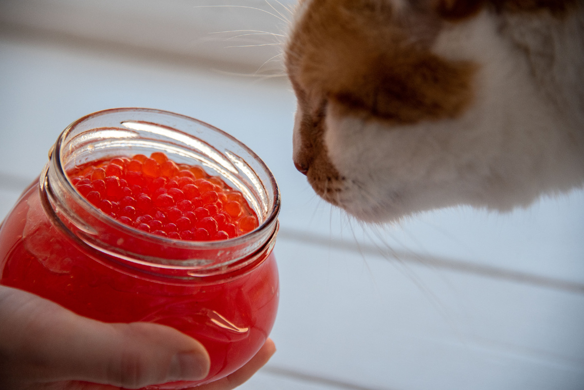 Блинчики с красной икрой — классика.