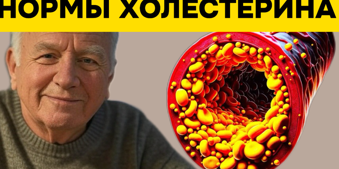 Холестерин: как понять свои цифры и не стать жертвой мифов? Нормы для 20-70 лет