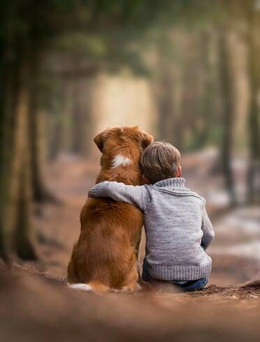 Собака в семье с ребёнком: как сделать выбор и не ошибиться