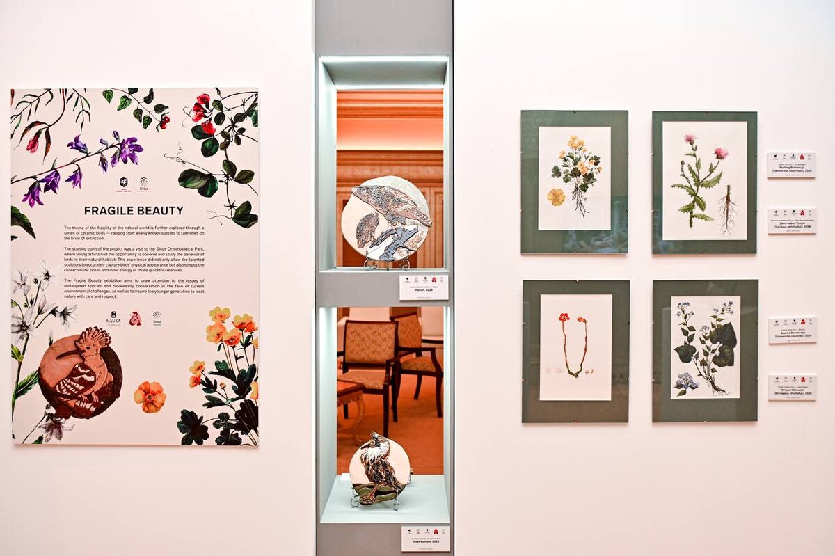    Фото: пресс-служба ФТ «Сириус»