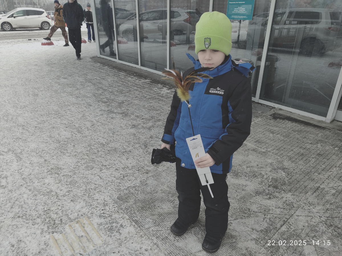 Вадюха с дразнилкой для котов. Здесь он ещё не знает, что такое унылое лицо у него будет в ближайшие два дня