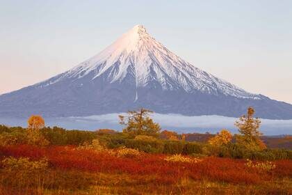 Этот бы кадр, да на обои (Кадр из фильма)