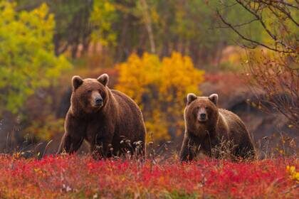 Какие краски! (Кадр из фильма)