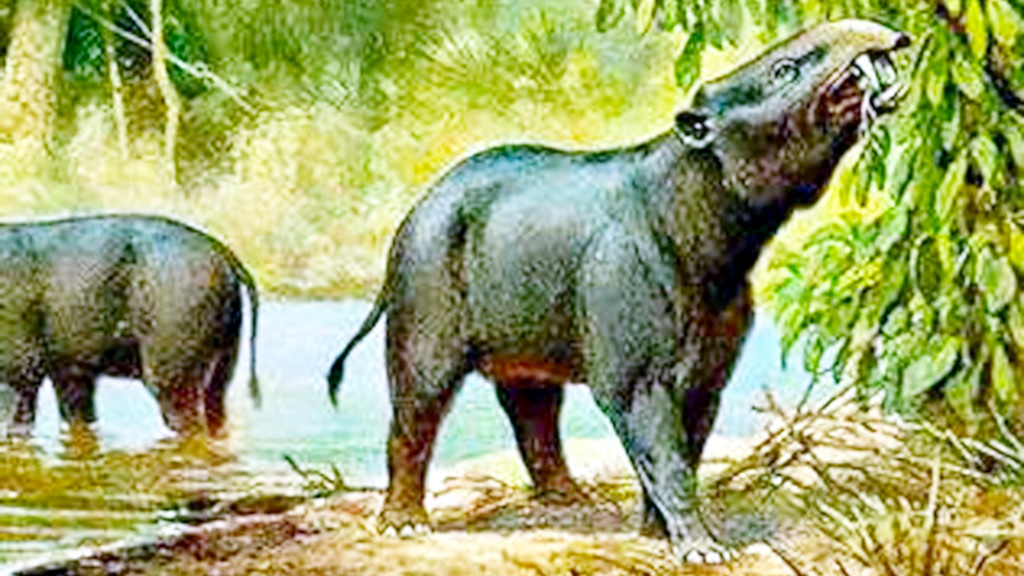 В эритерии ничто не выдавало ни предка, ни даже родственника будущих гигантов.