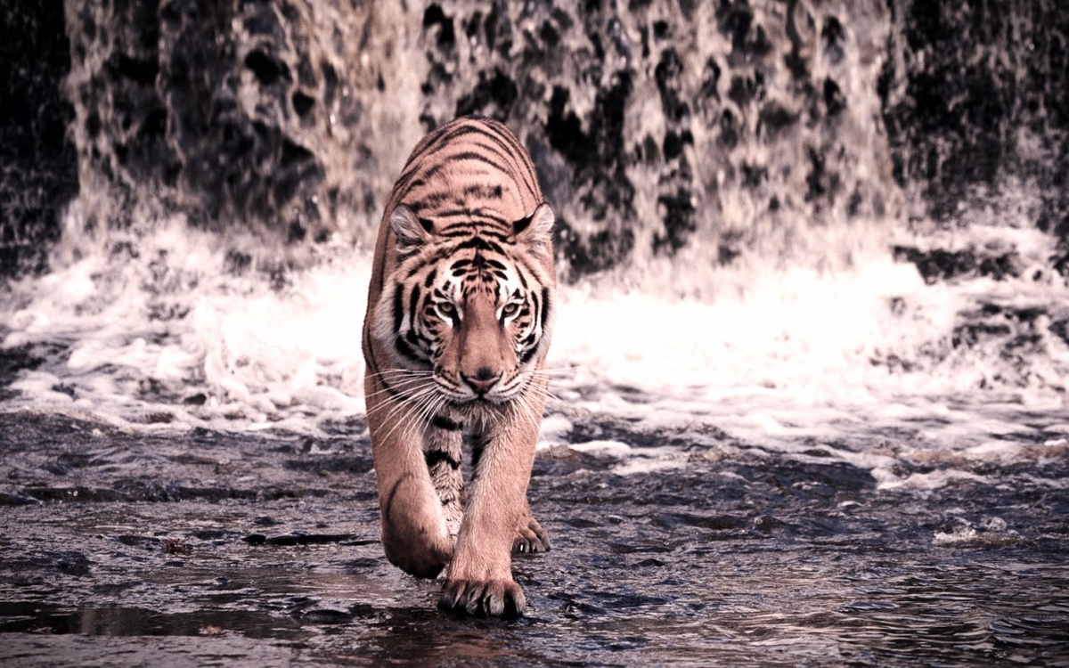 Все реальные изменения происходят в настоящем моменте времени