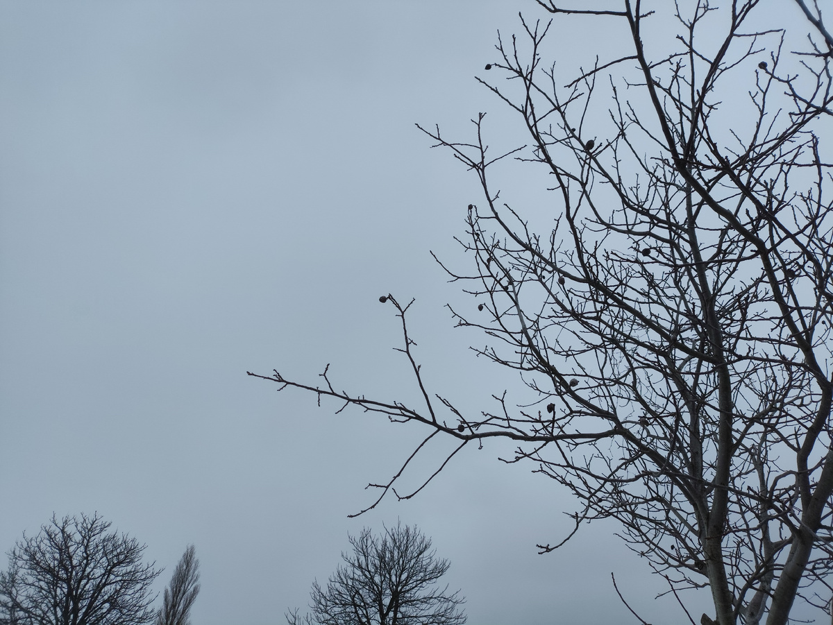 И серое-серое небо...