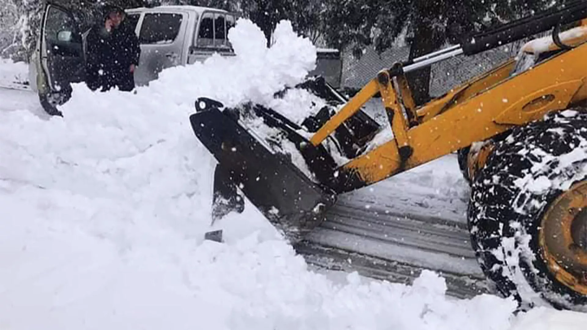 © City Hall of Zugdidi Municipality
