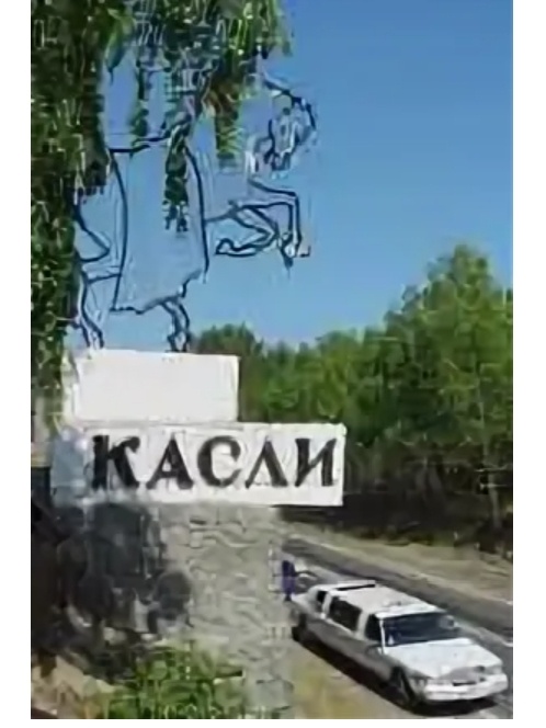 Все молодожёны приезжают к коню . Традиция .