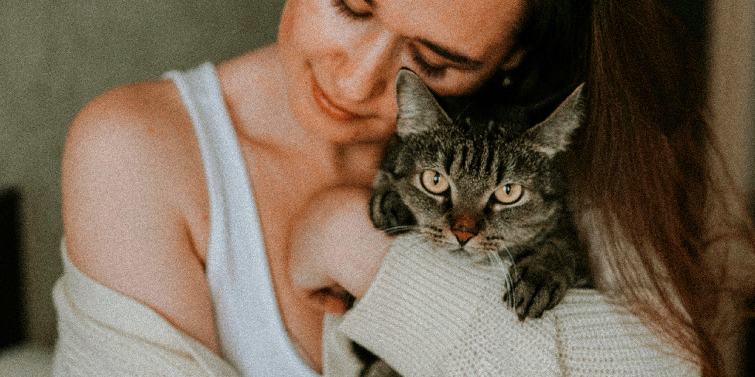 Ждут ли нас кошки дома, когда мы уходим?