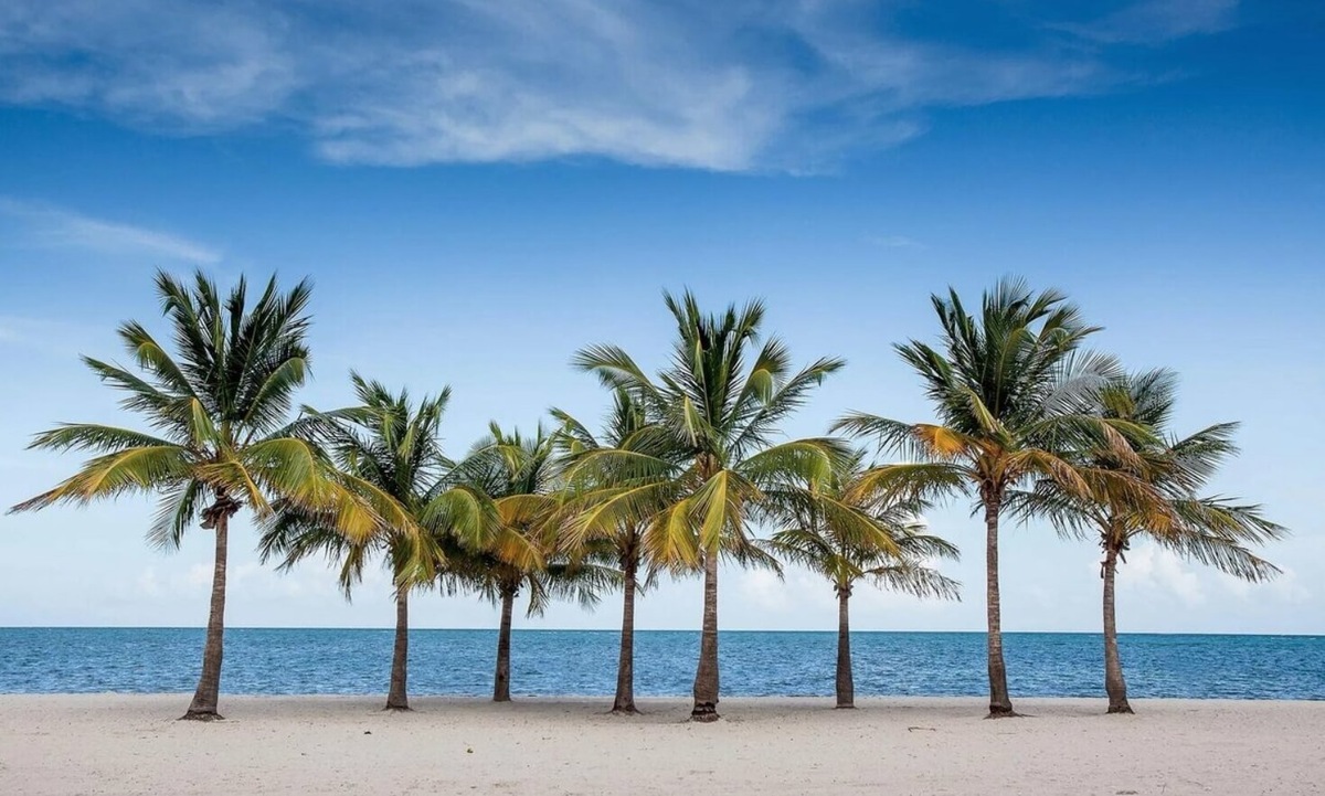    В некоторых странах лучшие условия для жизни — там ни жарко, ни холодно! Источник изображения: dzen.ru