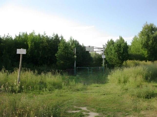 Вход в дендропарк в наши дни. Современное фото из интернета