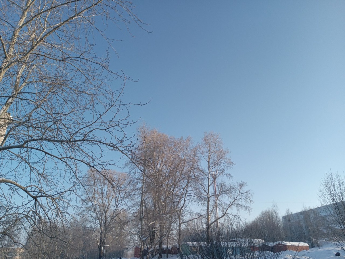 Фото сделал сын по дороге в магазин. 