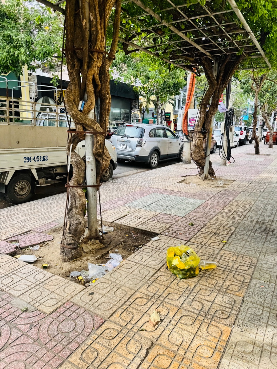 Ну зачем тебе вот это?! Езжай на дачу!