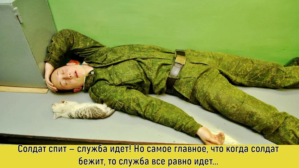 Источник: https://vseosemye.ru/