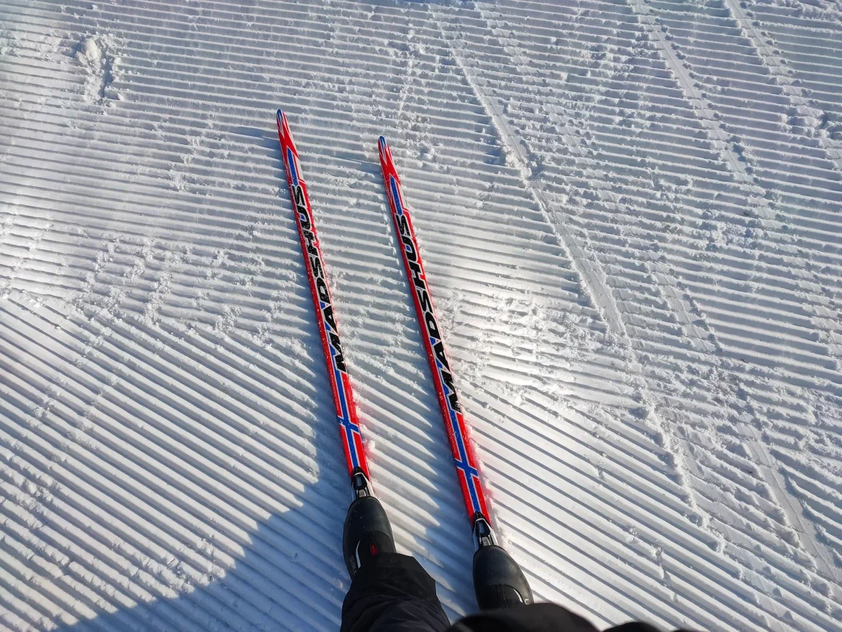 Яркое солнце второй половины февраля и марта - любимое время зимы, когда находиться на лыжне просто приятно