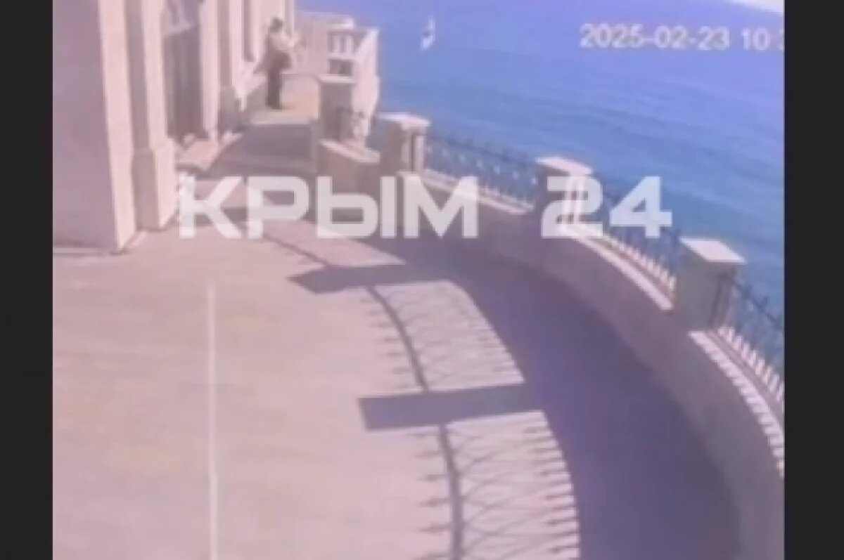    На стопкадре видно кошку, которую выбросил неизвестный пока человек.