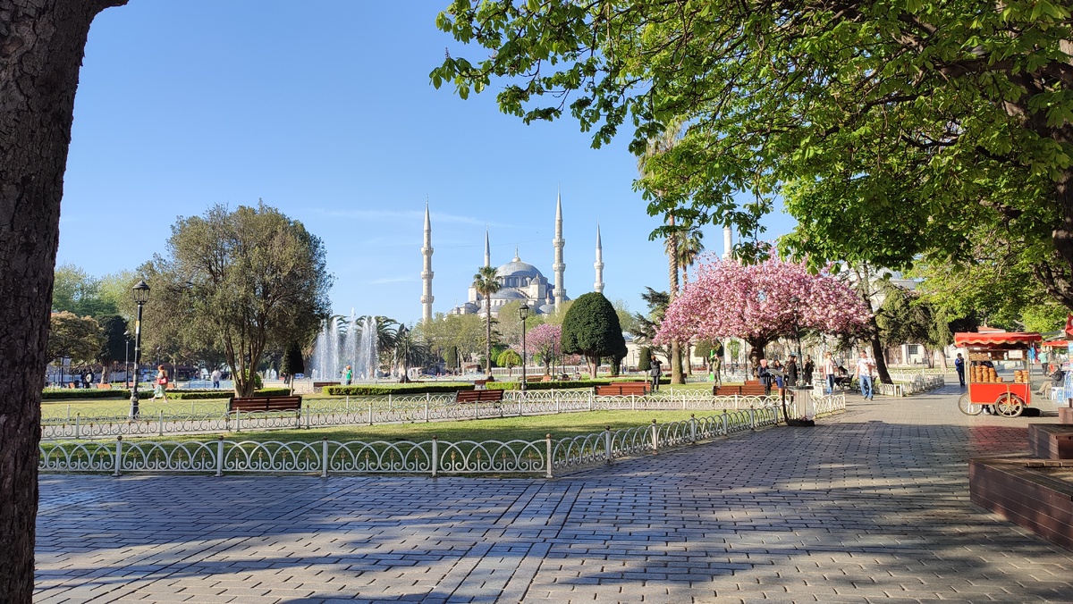 Площадь Султанахмет. Голубая мечеть. Сакура и палатка с метитами и печеными каштанами