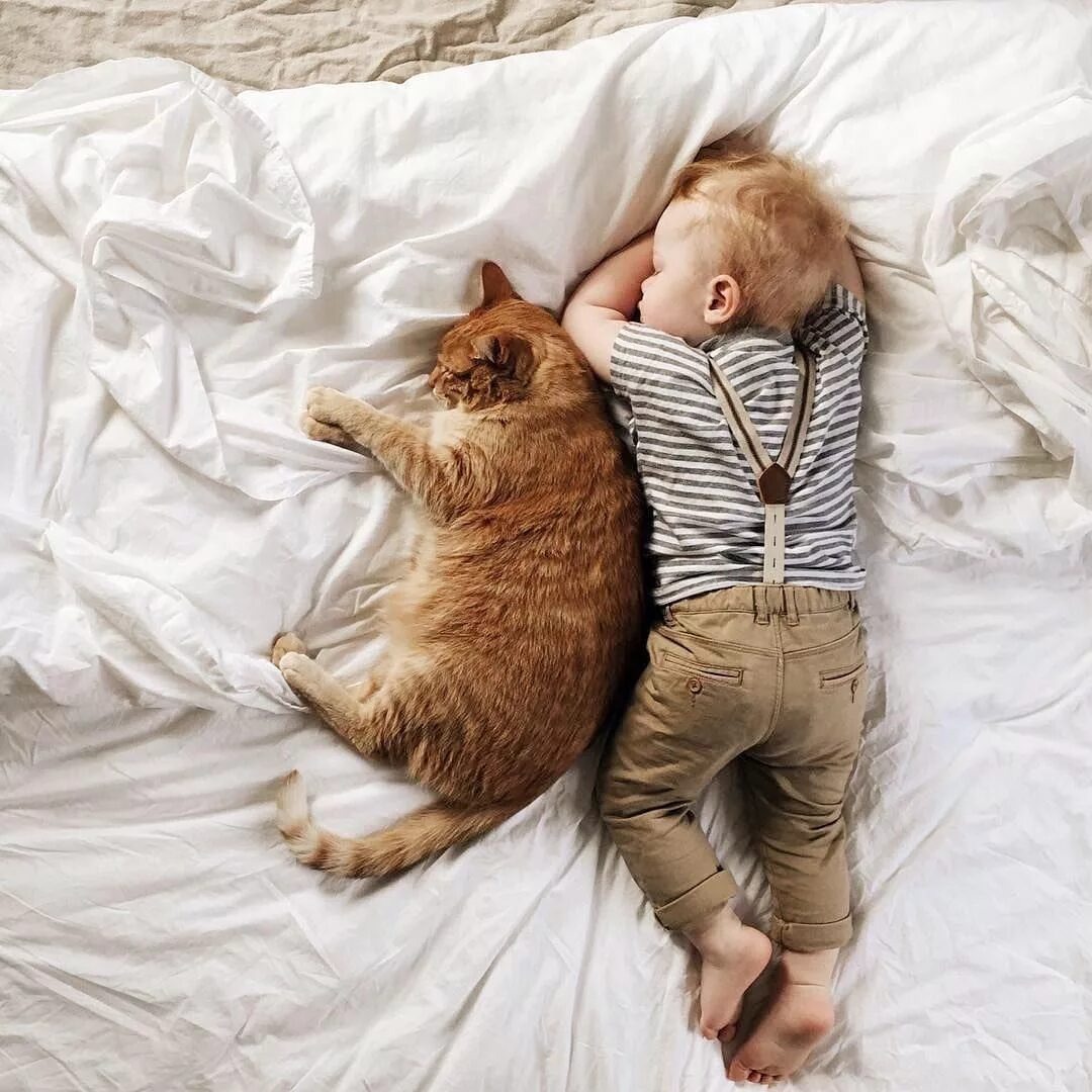 Фото из Интернета.