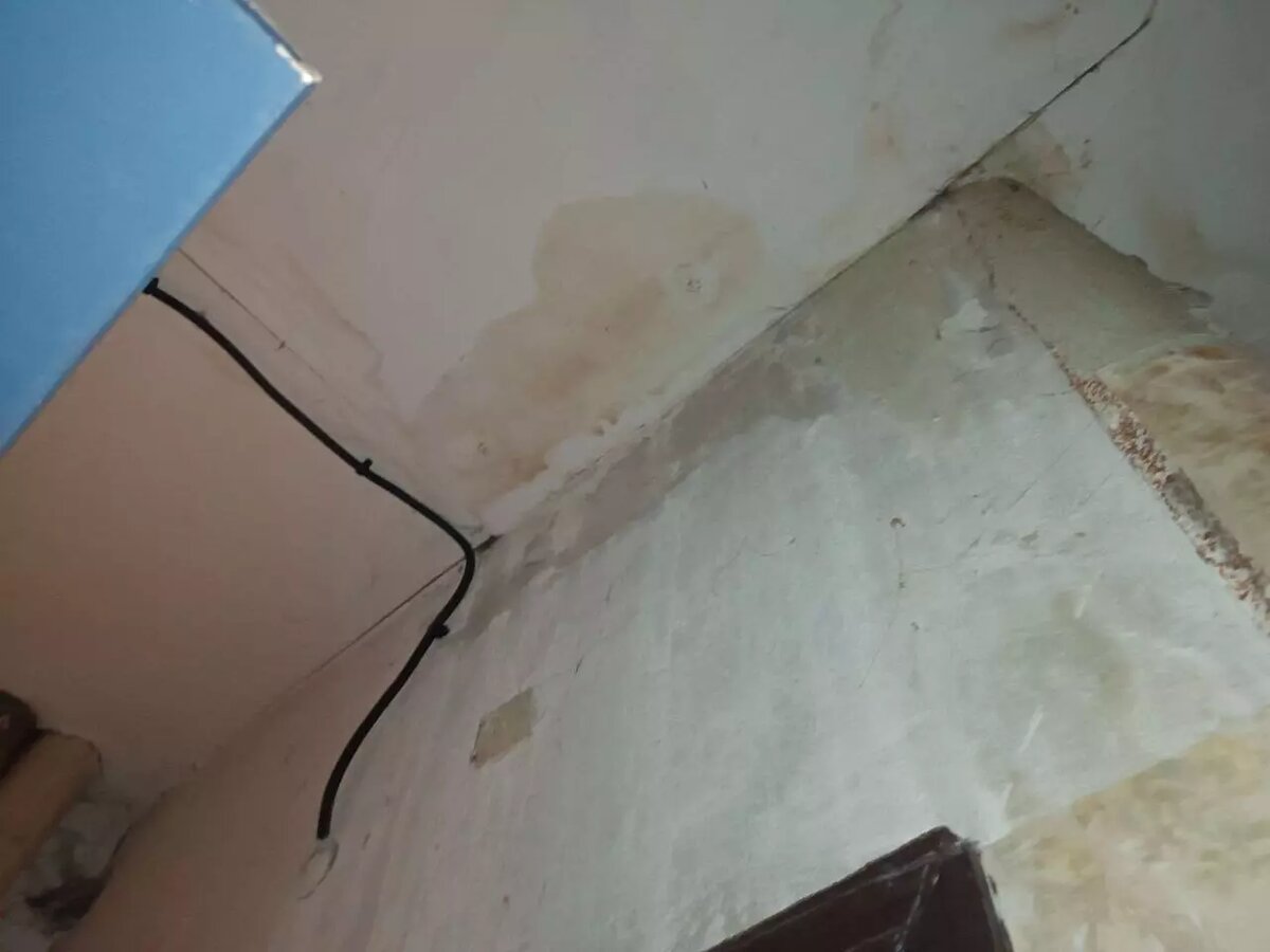     Источник: rostovgazeta.ru