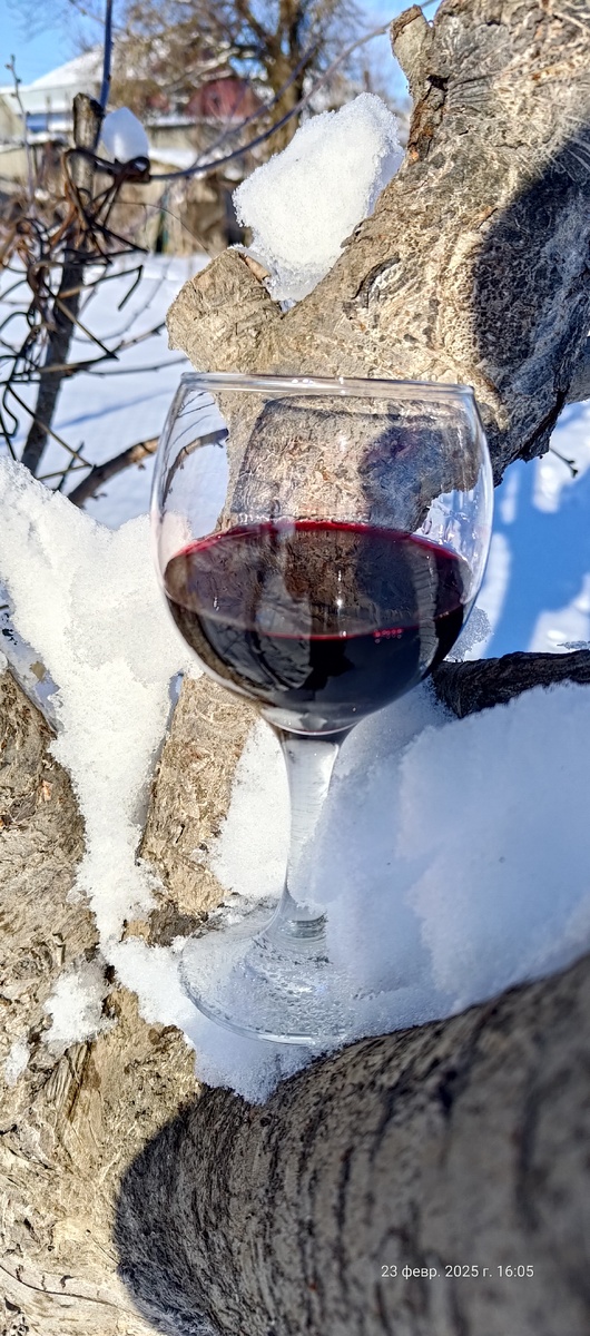 Вино из сока вишни на ветке того дерева, с которого собирась вишня для него.