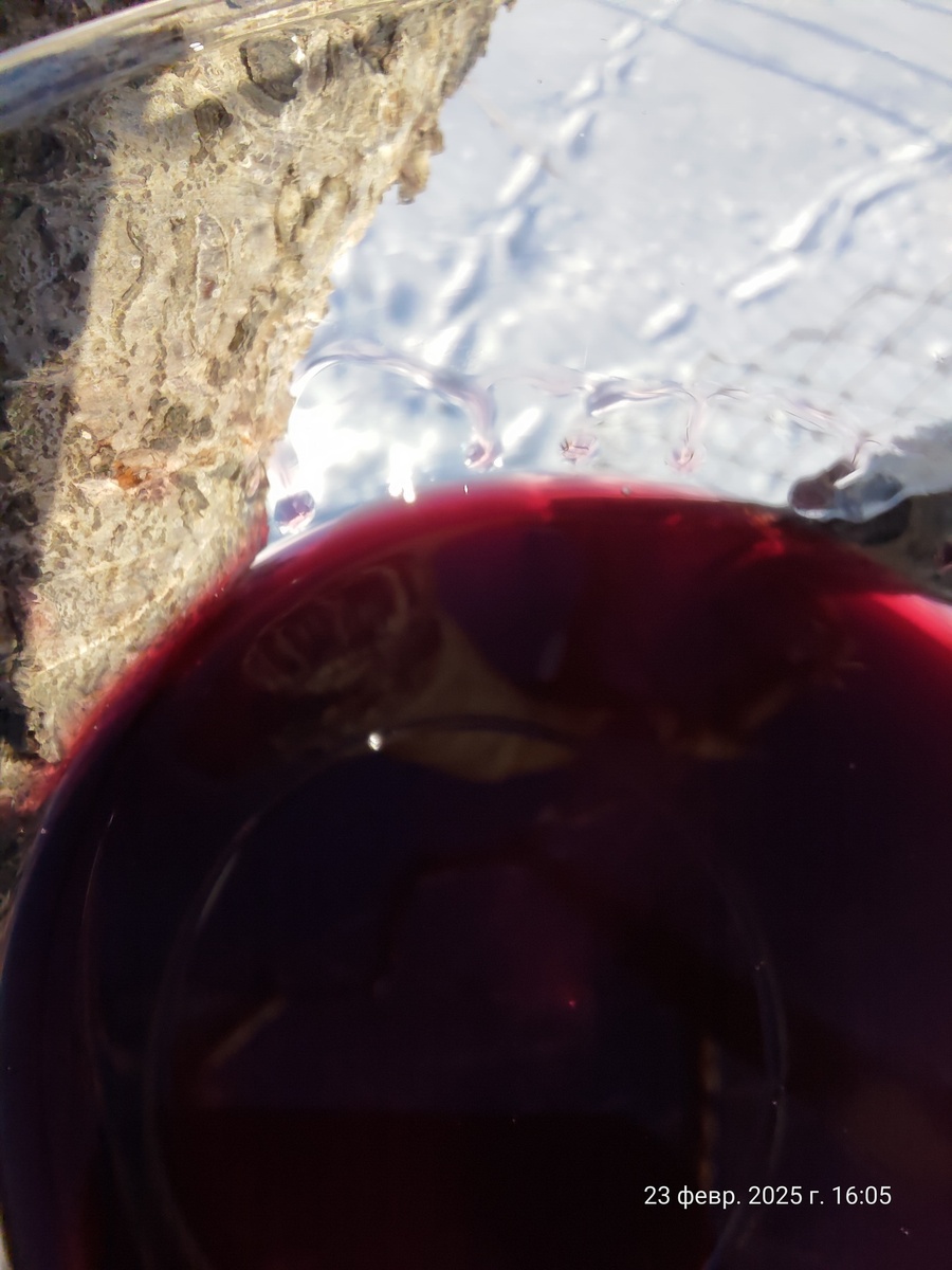 Так несколько минут висели эти ножки, пока я прицеливался для фото.