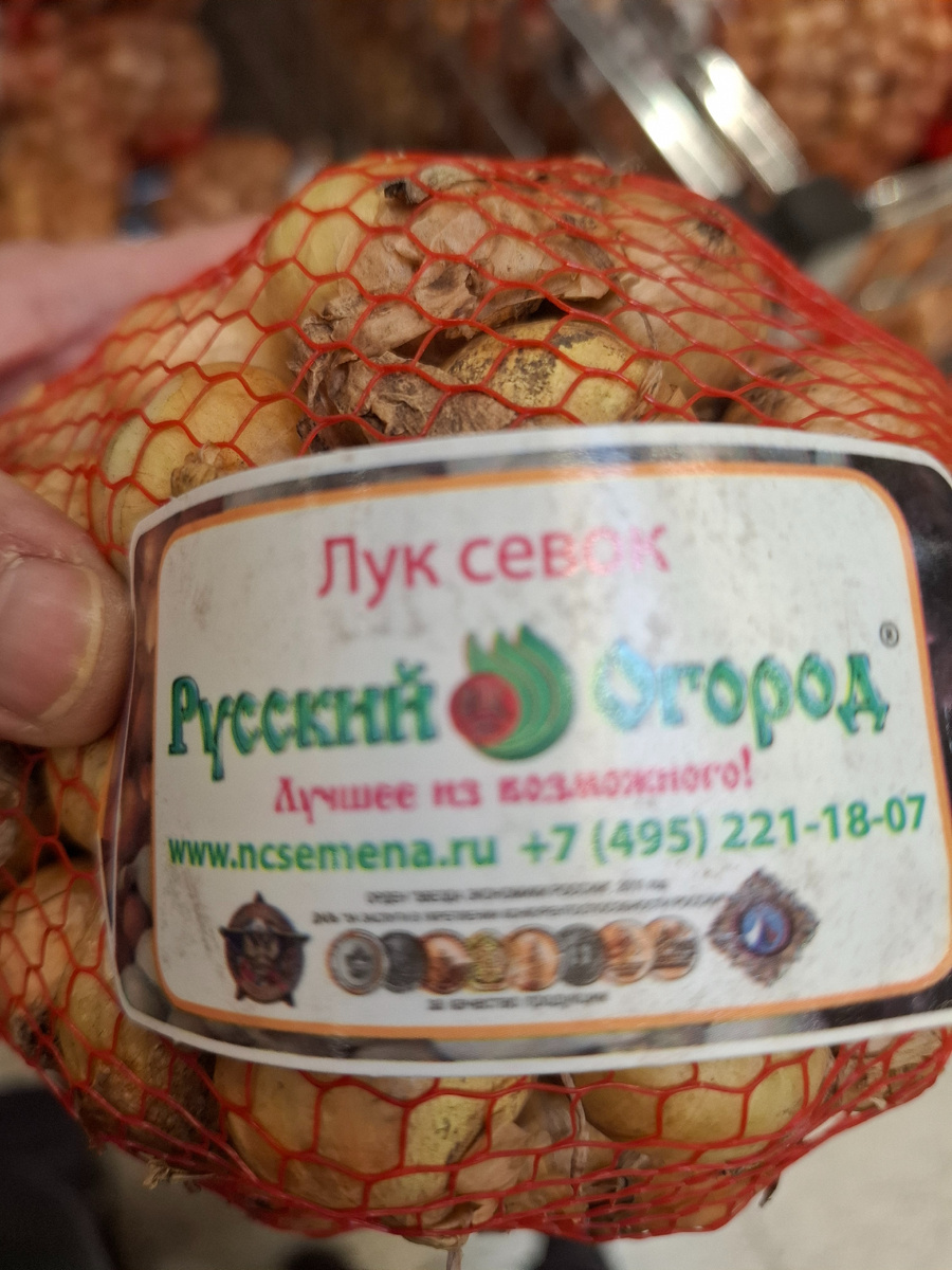 Фото автора. Иконостас медалей.