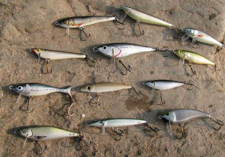 Фото с сайта: https://fishinfo.su/uploads/posts/all/voblery-na-zhereha-top-10-2.jpg