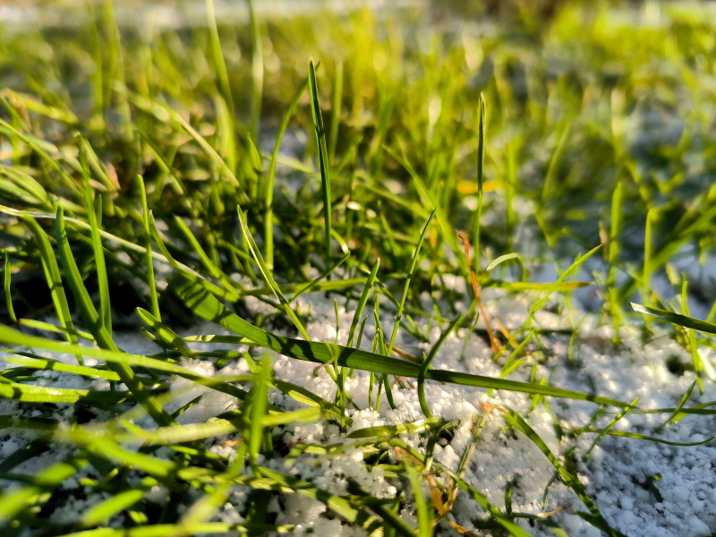    Фото: Maksim Konstantinov/Globallookpress