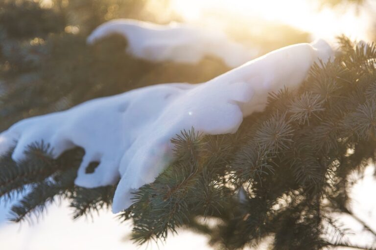    Фото: unsplash.com/Gary Meulemans Дмитрий Андреев