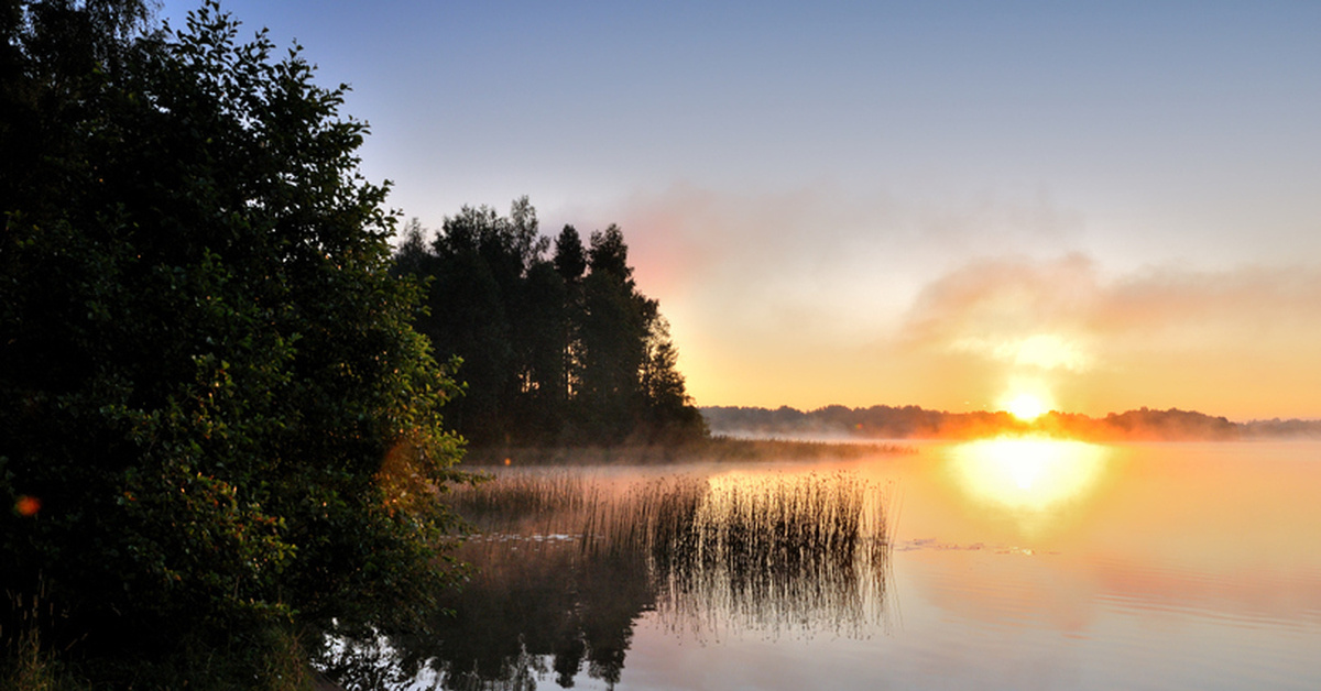 Яндекс.Картинки