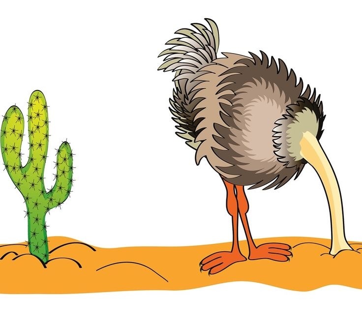 Совет:
Используйте приложение Дзен-мани или CoinKeeper, чтобы автоматически отслеживать долги. 