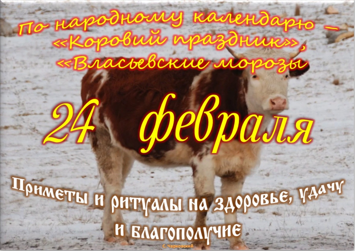 Встречаем новый день