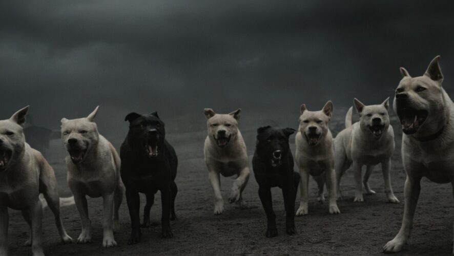    Фото: создано ИИ