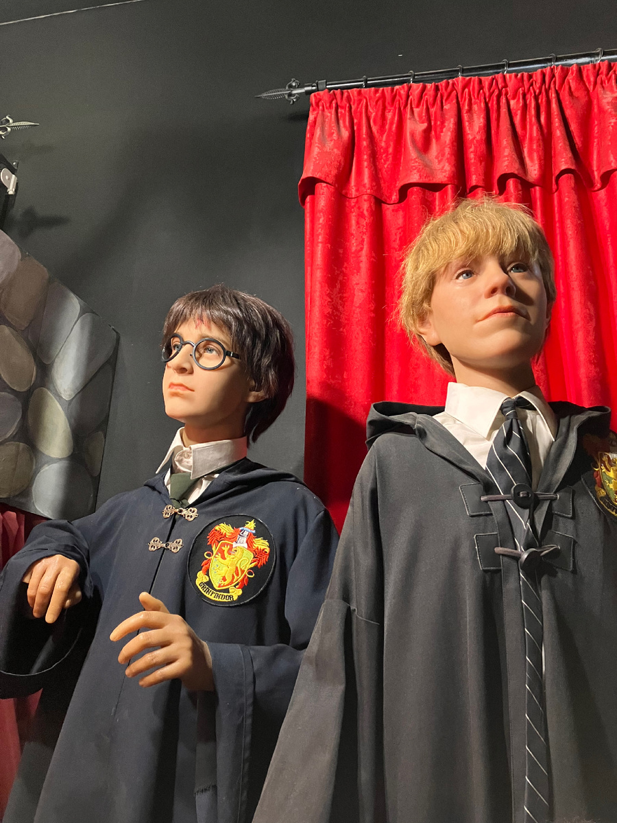 Ученики Хогвартса 