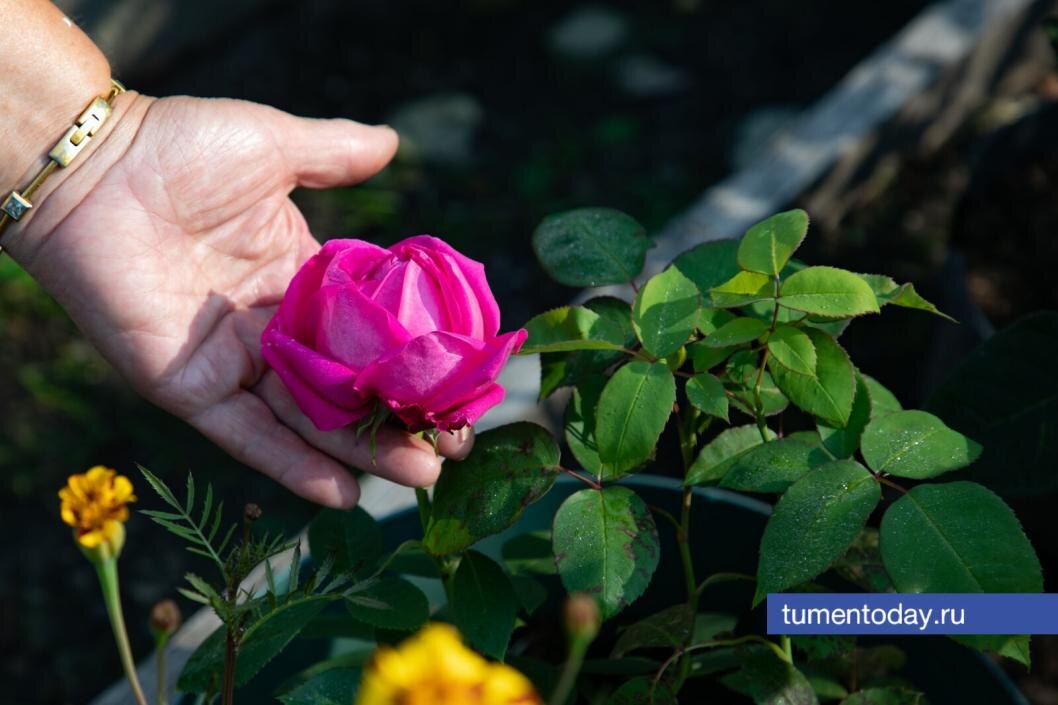  Фото Сергея Куликова