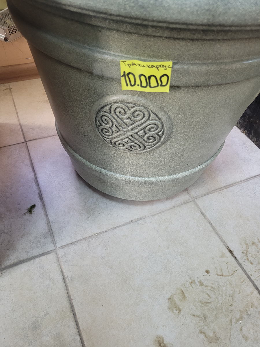 Фото из магазина, почему то пальму сфотографировать не удалось)