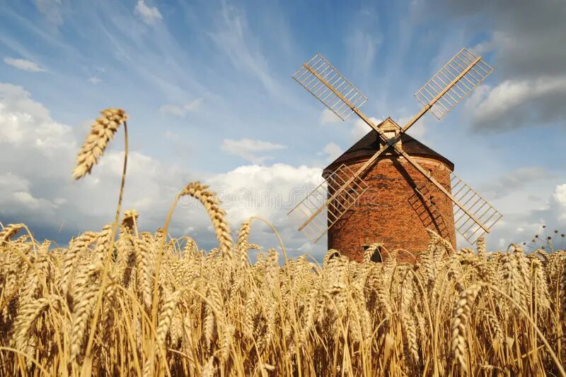 Мельница и поле пшеницы