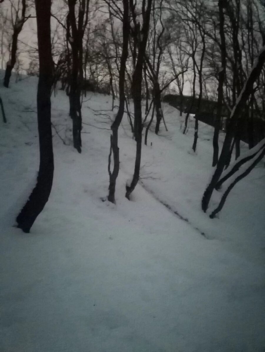 Девочка с другими детьми каталась с горки, когда напали агрессивные псы. Фото: Светлана Болотникова / АиФ-Северный Кавказ.