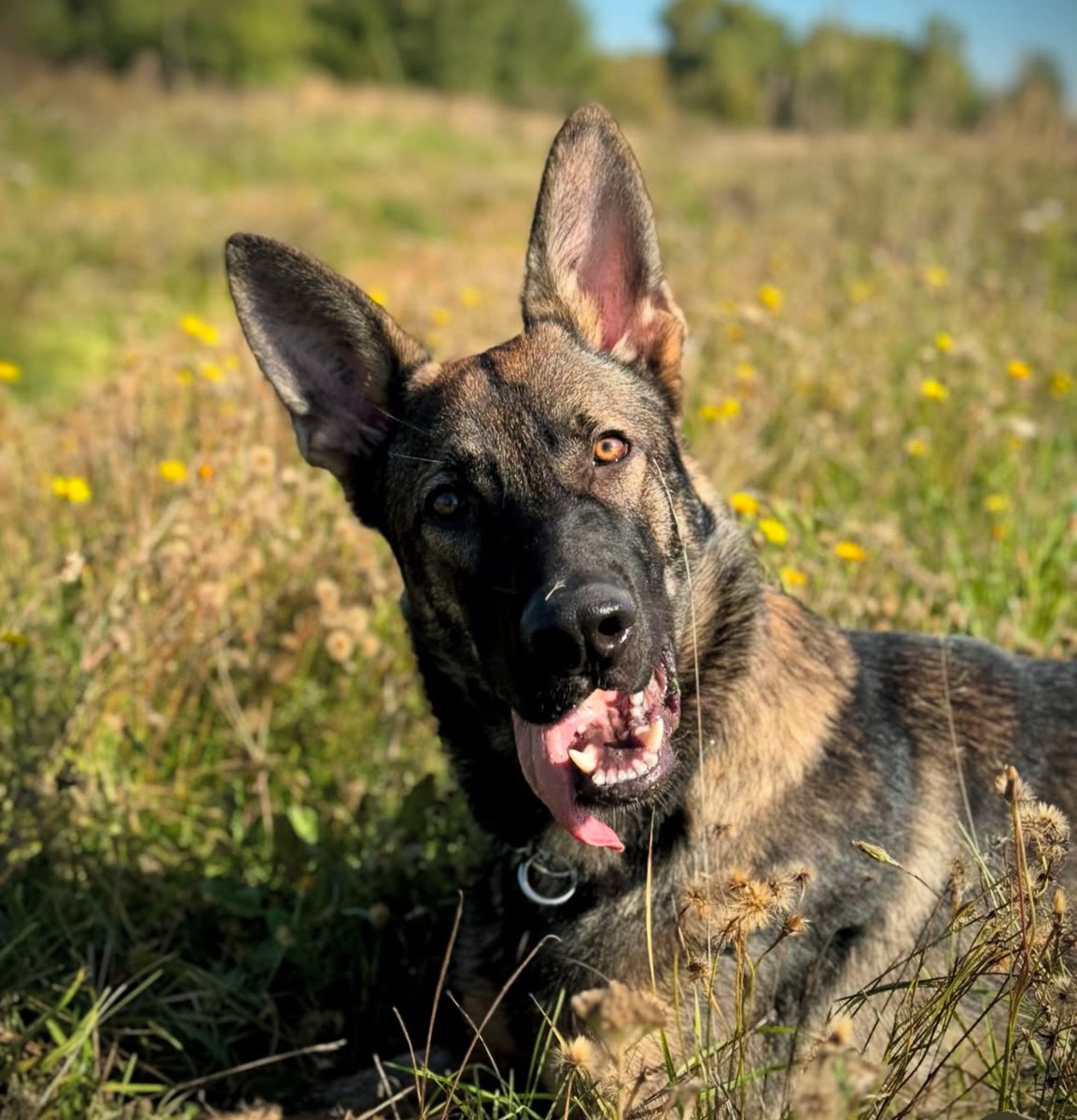 А вы думали, будет легко?)