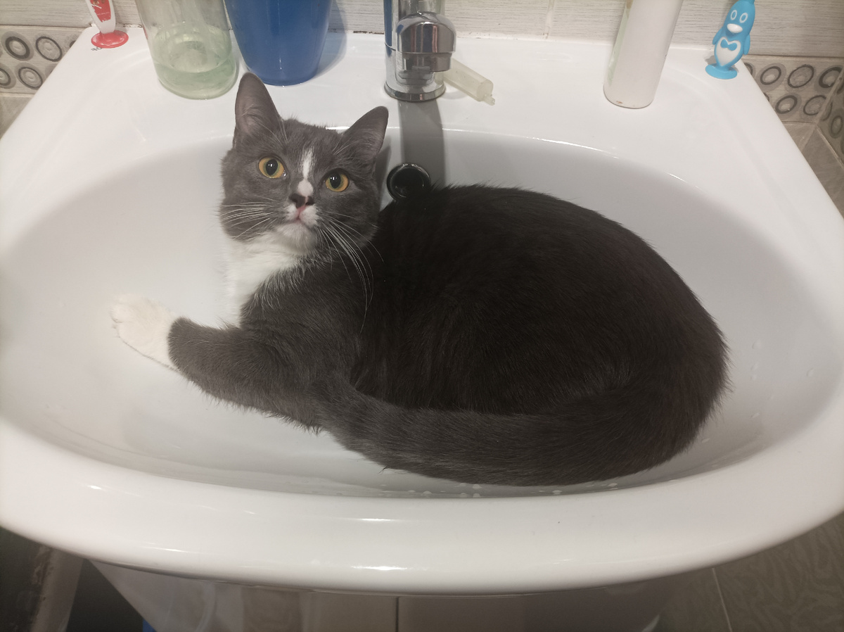 Банные процедуры