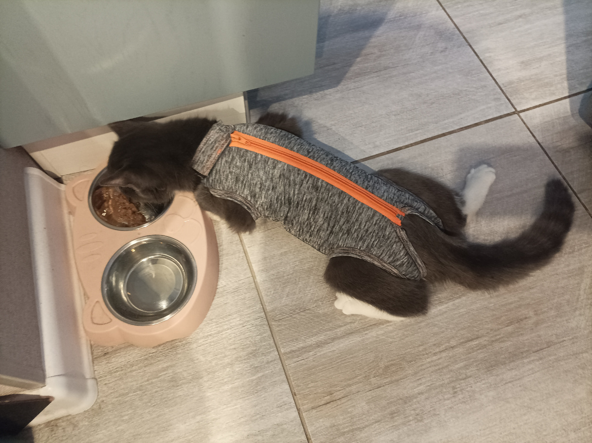 Так она выглядит сегодня