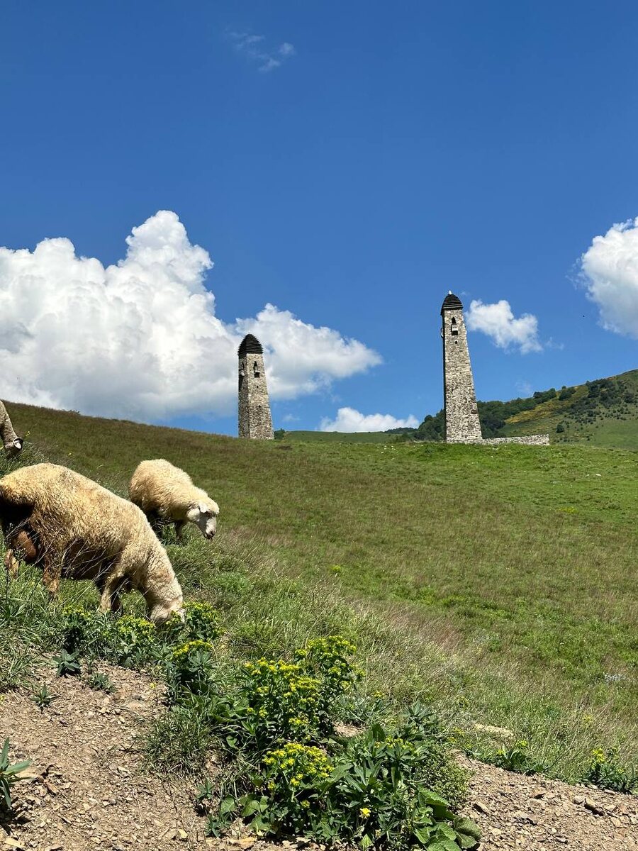 Боевые башни Эрзи
