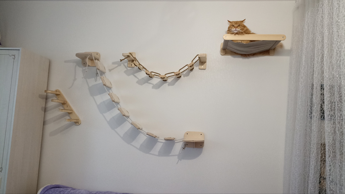 Вот и долгожданный подарок для нашего домашнего любимца! Всё заказывали отдельно на Озоне со скидкой. Сначала наш котик очень боялся ходить по шатким ступенькам. Но постепенно страх прошёл. Сейчас носится, мы больше за него переживаем) 