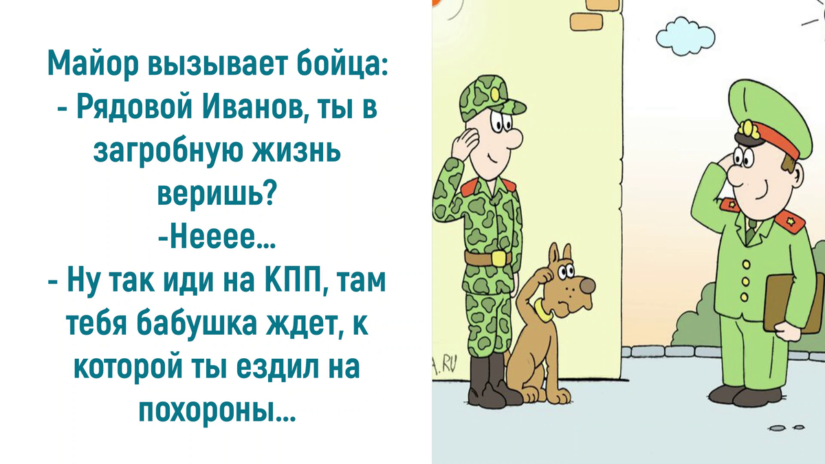 Источник: https://vseosemye.ru/